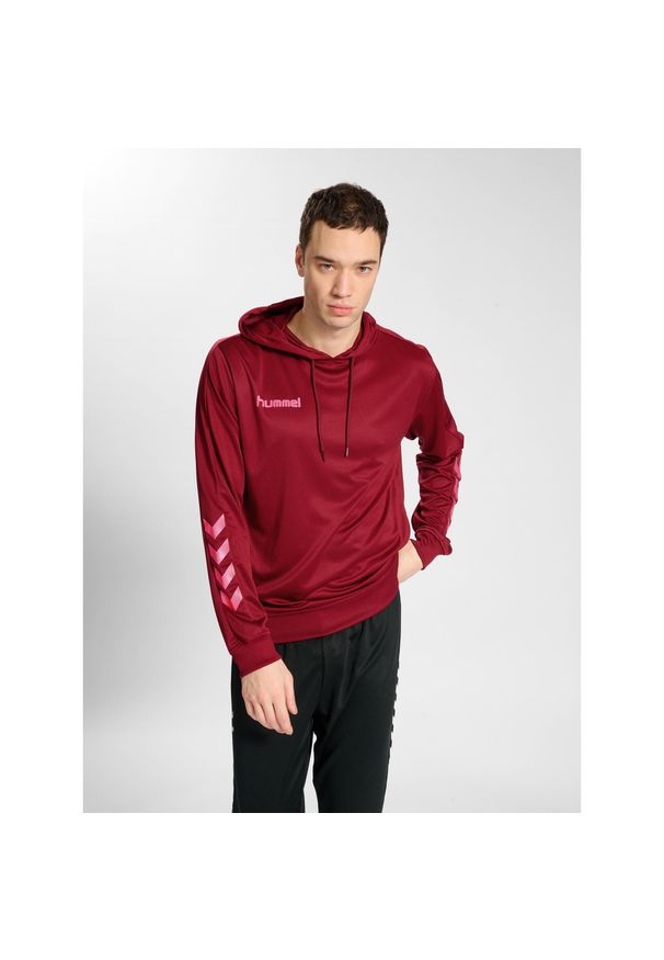 Bluza do piłki ręcznej męska Hummel hml PROMO Poly z kapturem. Typ kołnierza: kaptur. Kolor: czerwony, różowy, wielokolorowy