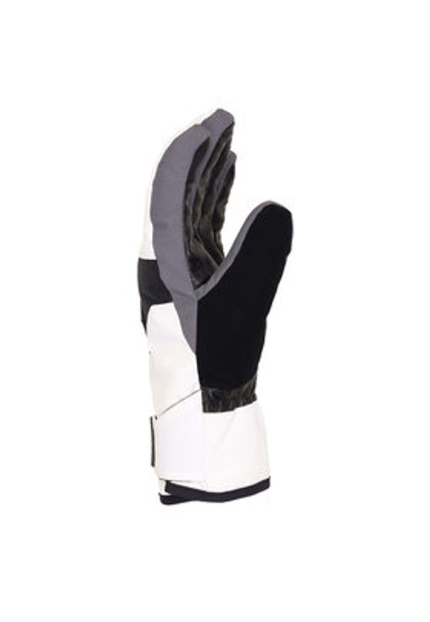 DC Shoes Rękawice narciarskie Franchise ADYHN03030 Biały. Kolor: biały. Materiał: syntetyk. Sport: narciarstwo