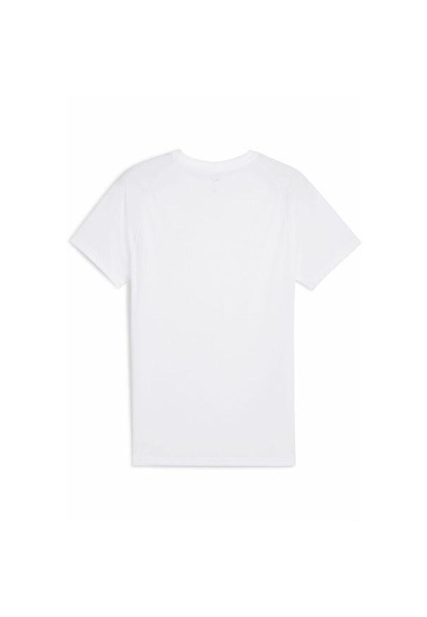 Puma - Męska koszulka EVOSTRIPE PUMA White. Kolor: biały. Długość rękawa: raglanowy rękaw