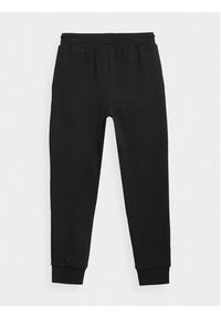4f - 4F Spodnie dresowe 4FJAW23TTROM410 Czarny Regular Fit. Kolor: czarny. Materiał: bawełna #4