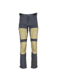 Spodnie turystyczne Whistler Beina. Kolor: szary, beżowy, niebieski, wielokolorowy. Sezon: lato. Sport: turystyka piesza #1