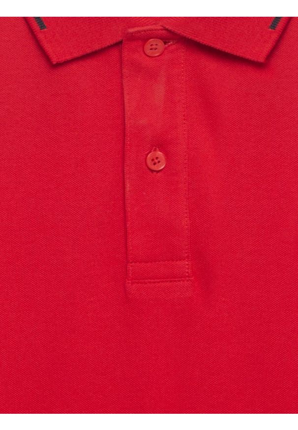 Big-Star - Koszulka męska polo bordowa Polian 604. Typ kołnierza: polo. Kolor: czerwony. Materiał: dzianina, bawełna, materiał. Wzór: aplikacja, haft, paski. Styl: elegancki, klasyczny