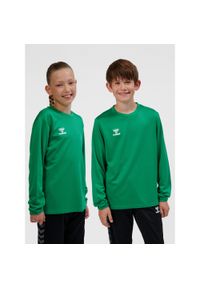 Bluza dziecięca Hummel Essential. Kolor: zielony. Sport: joga i pilates #1