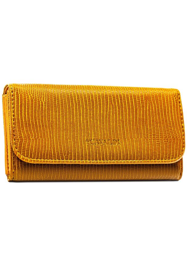 4U CAVALDI - Duży, brązowy portfel damski ze skóry ekologicznej - 4U Cavaldi. Kolor: brązowy. Materiał: skóra ekologiczna