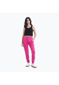 PITBULL - Spodnie damskie Pitbull Discovery Track Pants. Kolor: różowy
