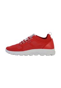 Tenisówki Geox Model D Spherica Kolor Czerwony. Kolor: czerwony. Materiał: tkanina
