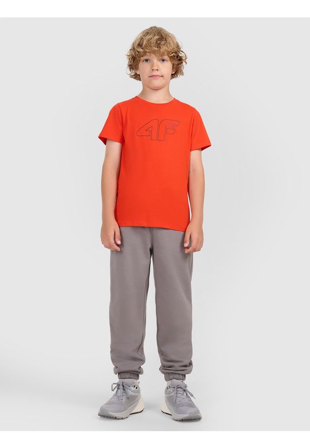 4f - 4F T-shirt regular z nadrukiem chłopięcy - czerwony 122 (6-7 lat). Okazja: na co dzień. Kolor: czerwony. Materiał: jersey, bawełna, materiał. Długość rękawa: krótki rękaw. Długość: krótkie. Wzór: nadruk. Sezon: lato. Styl: sportowy, klasyczny, casual