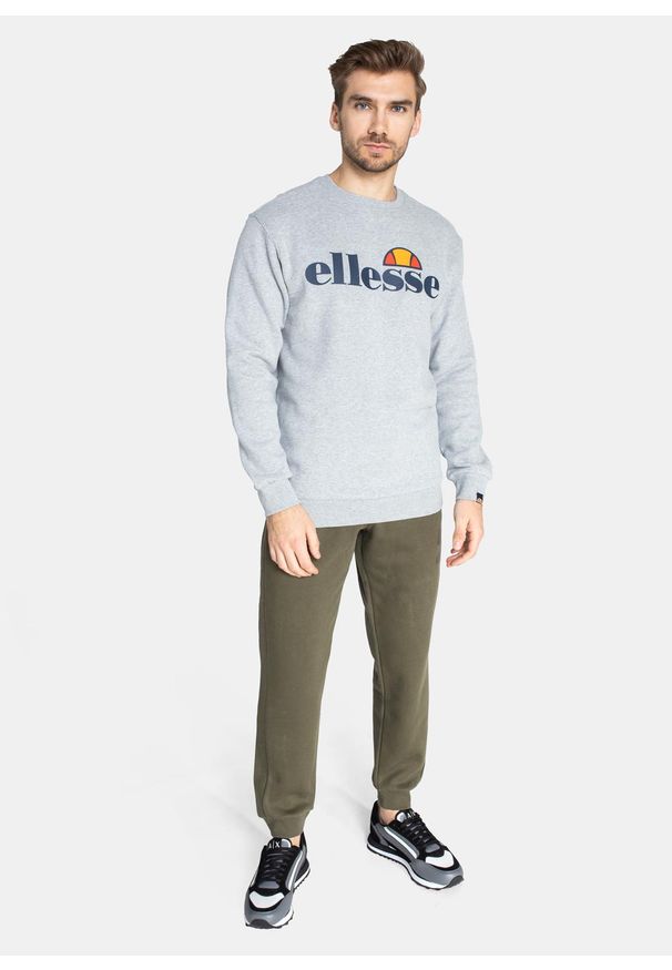 Bluza męska Ellesse Succiso (SHC07930-112). Kolor: szary. Wzór: kolorowy. Sezon: lato. Styl: street