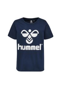 Koszulka dziecięca Hummel hmltres. Kolor: niebieski, fioletowy, wielokolorowy. Sport: piłka nożna