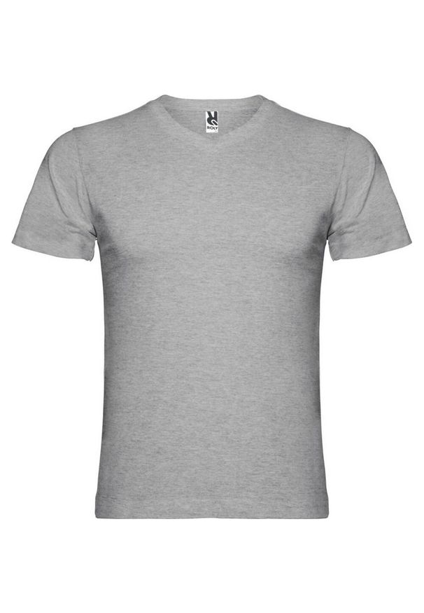 ROLY - Męska Koszulka Samoyedo Z Dekoltem V. Kolor: szary. Sport: turystyka piesza