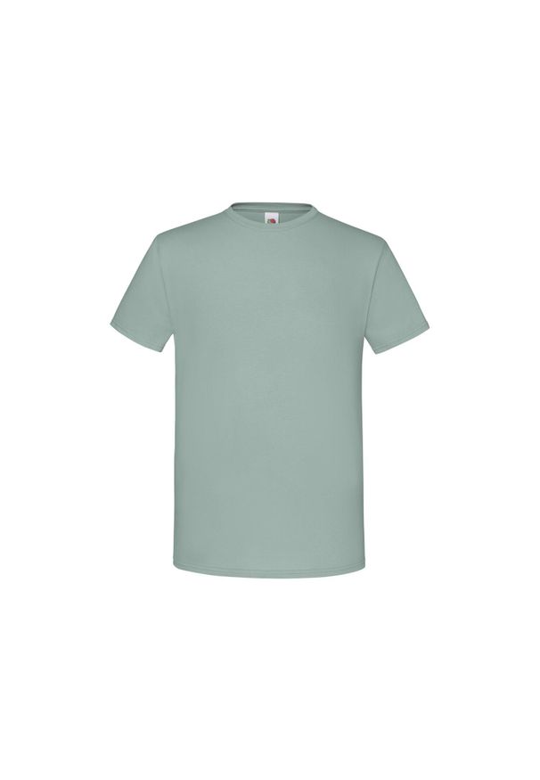 FRUIT OF THE LOOM - Kultowa Koszulka Unisex Dla Dorosłych. Kolor: szary. Sport: turystyka piesza