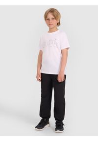 4f - 4F T-shirt regular z nadrukiem chłopięcy - biały 152 (11-12 lat). Okazja: na co dzień. Kolor: biały. Materiał: jersey, materiał, bawełna. Długość rękawa: krótki rękaw. Długość: krótkie. Wzór: nadruk. Sezon: lato. Styl: klasyczny, sportowy, casual