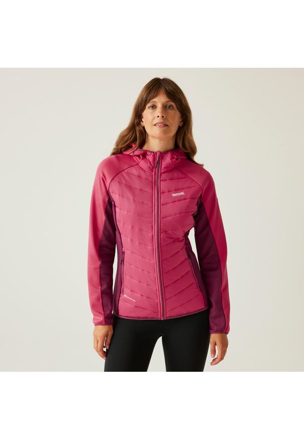 Regatta - Andreson VIII Hybrid damska wodoodporna sportowa pikowana kurtka. Kolor: różowy. Materiał: puch. Sport: turystyka piesza
