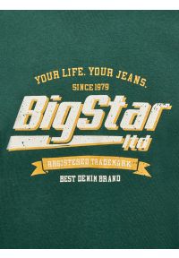 Big-Star - Koszulka męska z nadrukiem zielona Briss 304. Okazja: na co dzień. Kolor: zielony. Materiał: bawełna. Wzór: nadruk. Styl: vintage, klasyczny, casual