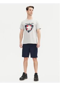 Aulp T-Shirt Roque Szary Regular Fit. Kolor: szary. Materiał: syntetyk, bawełna #5