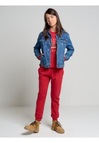 Big-Star - Spodnie dresowe dziewczęce czerwone Arroya 603. Kolor: czerwony. Materiał: dresówka #1