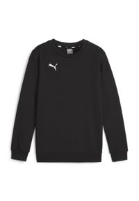 Bluza dziecięca Puma teamGOAL Casuals. Kolor: czarny. Materiał: polar