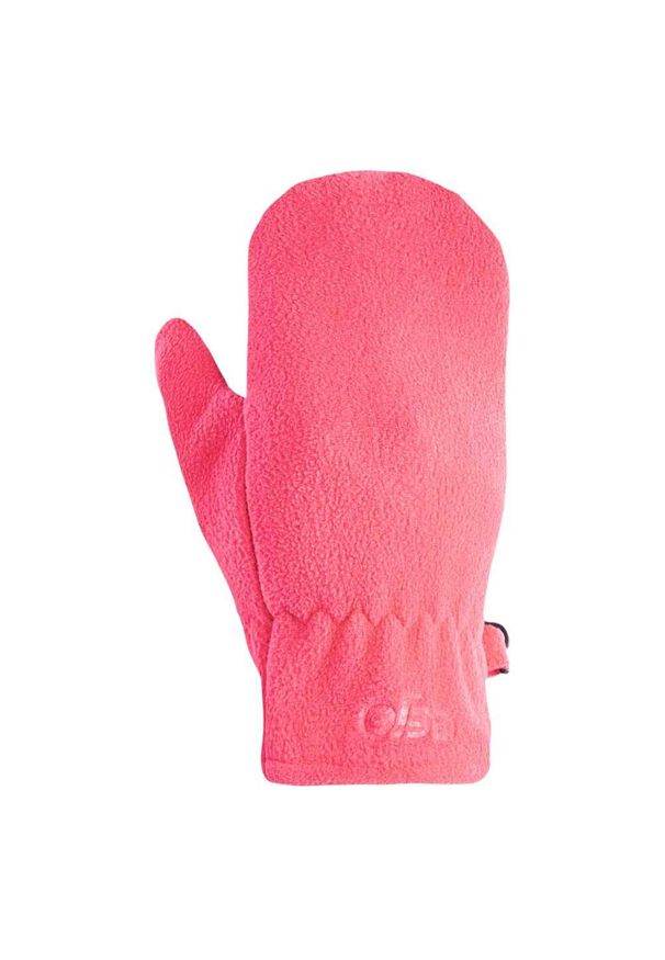 BEJO - Rękawiczki Narciarskie Dla Dziewczynki Colin. Kolor: różowy. Sezon: zima. Sport: narciarstwo