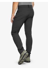 Haglöfs - Spodnie softshell męskie Haglofs Moran Softshell Slim Pant. Kolor: czarny. Materiał: softshell. Sezon: lato. Sport: turystyka piesza
