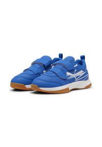 Puma - Buty do sportów halowych Varion II PUMA. Kolor: niebieski, beżowy, wielokolorowy, biały. Sport: turystyka piesza