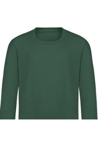 AWDIS - Zwykła Bluza Unisex Dla Dorosłych. Kolor: zielony