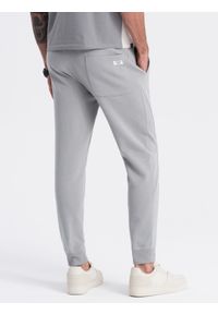 Ombre Clothing - Męskie spodnie dresowe typu jogger - szare V8 OM-PABS-0173 - XXL. Okazja: na co dzień. Kolor: szary. Materiał: dresówka. Wzór: aplikacja. Styl: casual #3
