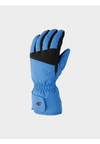 4f - Rękawice narciarskie Thinsulate© męskie. Kolor: niebieski. Materiał: materiał, syntetyk. Technologia: Thinsulate. Sezon: zima. Sport: narciarstwo