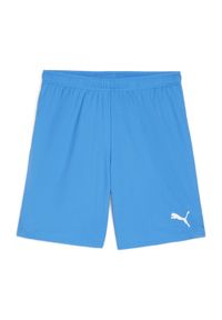 Szorty dla dzieci Puma TeamGoal. Kolor: niebieski, wielokolorowy, biały. Styl: sportowy #1