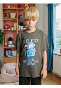 Sinsay - Luźna koszulka z nadrukiem - szary. Kolor: szary. Wzór: nadruk #1