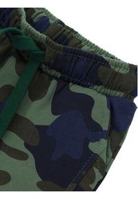 Original Marines Spodnie dresowe DCA0658NM Zielony Regular Fit. Kolor: zielony. Materiał: bawełna