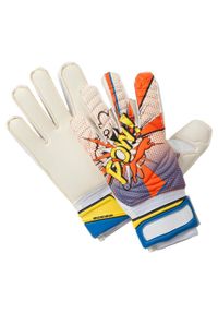 Rękawice bramkarskie Puma Evo Power Grip 2 RC. Kolor: wielokolorowy