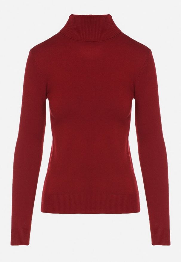 Born2be - Bordowy Klasyczny Golf z Bawełną Reilisea. Okazja: na co dzień. Typ kołnierza: golf. Kolor: czerwony. Materiał: bawełna. Styl: klasyczny