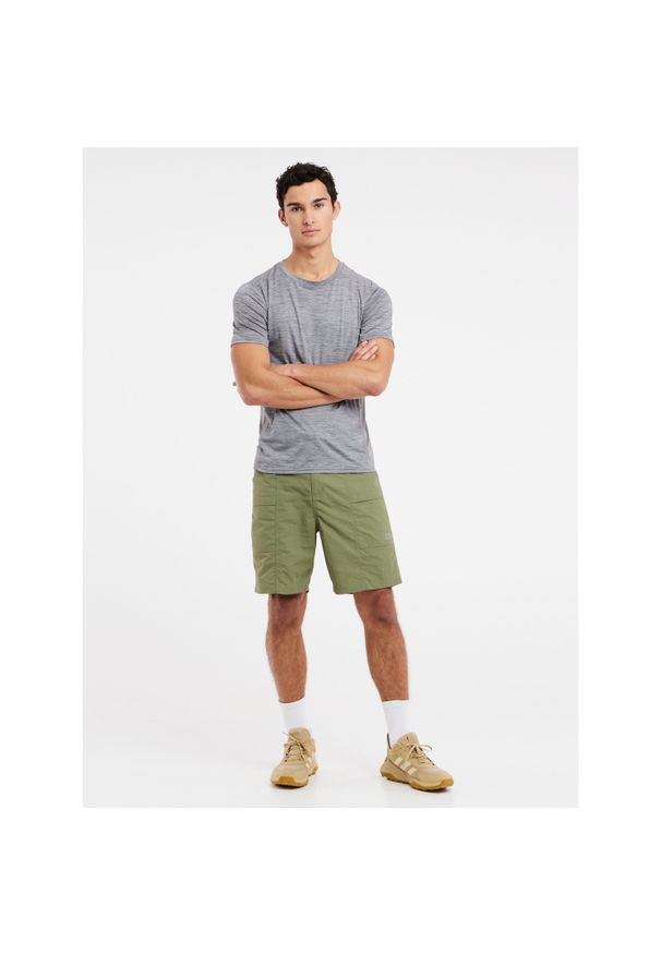 Szorty Protest Prtcarbost. Kolor: zielony. Długość: krótkie. Sezon: lato