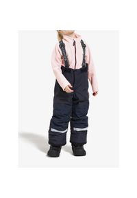 Spodnie dla dzieci Didriksons Idre Pants. Kolor: niebieski. Sezon: zima, jesień. Sport: narciarstwo
