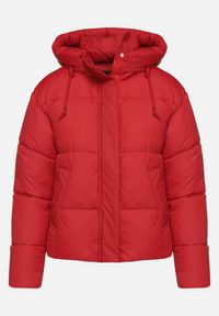 Born2be - Czerwona Pikowana Kurtka Puffer z Kapturem Miviera. Okazja: na spotkanie biznesowe, do pracy, na co dzień. Typ kołnierza: kaptur. Kolor: czerwony. Materiał: jeans. Sezon: zima. Styl: elegancki, biznesowy, casual #7