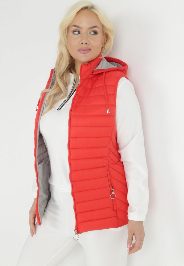 Born2be - Czerwona Kamizelka z Kapturem Pikowana Cotra. Okazja: na co dzień. Typ kołnierza: kaptur. Kolekcja: plus size. Kolor: czerwony. Długość: długie. Materiał: materiał. Długość rękawa: długi rękaw. Sezon: wiosna, jesień. Styl: casual