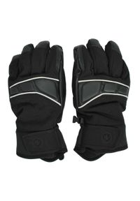 BLIZZARD - Męskie rękawice narciarskie Blizzard Profi. Kolor: czarny. Sezon: zima. Sport: narciarstwo #1