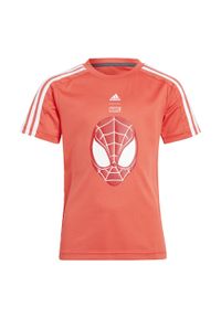 Adidas - Koszulka adidas x Marvel Spider-Man. Kolor: biały, czerwony, wielokolorowy. Materiał: materiał. Wzór: motyw z bajki