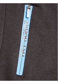Zippy Spodnie dresowe 225-6921ZT Szary Regular Fit. Kolor: szary. Materiał: bawełna #3