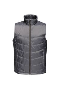 Regatta - Ocieplana Męska Ocieplana. Kolor: szary. Sport: turystyka piesza #1