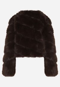 Born2be - Brązowa Krótka Kurtka z Futerkiem na Haftki Loreinda. Okazja: na co dzień. Kolor: brązowy. Materiał: futro. Długość: krótkie. Styl: casual, elegancki #5