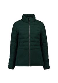 ZUMBA WEAR - Wodoodporna kurtka zimowa Kjelvik Sitaa dla kobiet - Rozmiar 46, elegancka. Kolor: zielony. Materiał: materiał, dzianina. Sezon: zima. Sport: taniec, joga i pilates