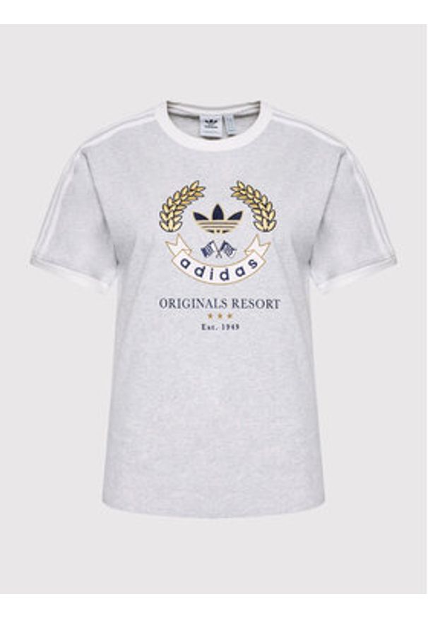 Adidas - adidas T-Shirt Graphic HL6554 Szary Loose Fit. Kolor: szary. Materiał: bawełna