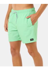 Spodenki surfingowe męskie Rip Curl Daily Volley Zielony. Kolor: zielony