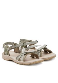 Jack Wolfskin Sandały Lakewood Ride Sandal M 4019041 Beżowy. Kolor: beżowy. Materiał: materiał #4