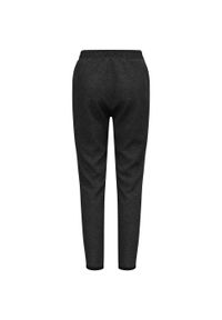 Spodnie treningowe damskie Odlo ACTIVE 365. Kolor: szary