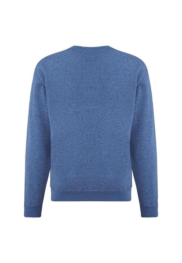 FRUIT OF THE LOOM - Sportowa Bluza Dziecięca Zwykła. Kolor: niebieski. Wzór: nadruk