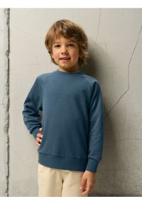 Sinsay - Bluza - niebieski. Kolor: niebieski