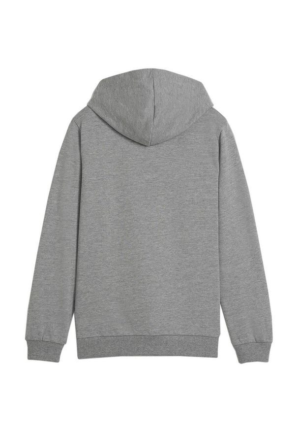 Puma - Bluza Z Kapturem Dziecięca Team Goal Casual. Typ kołnierza: kaptur. Kolor: szary