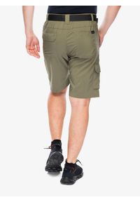 columbia - Spodenki turystyczne męskie Columbia Silver Ridge Utility Cargo Short. Kolor: zielony